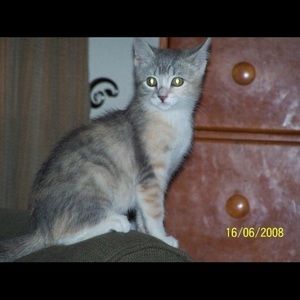 Meet your Posher, Lorie